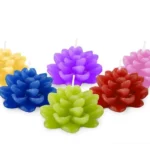 suculenta x 1 u. 4 x 7 cm - Rosa