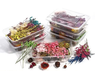 PACK FLORES PLANTAS Y HOJAS SECAS
