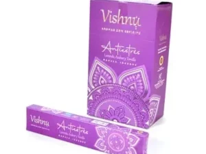 SAHUMERIOS VISHNU MASALA CAJA X12 UNIDADES